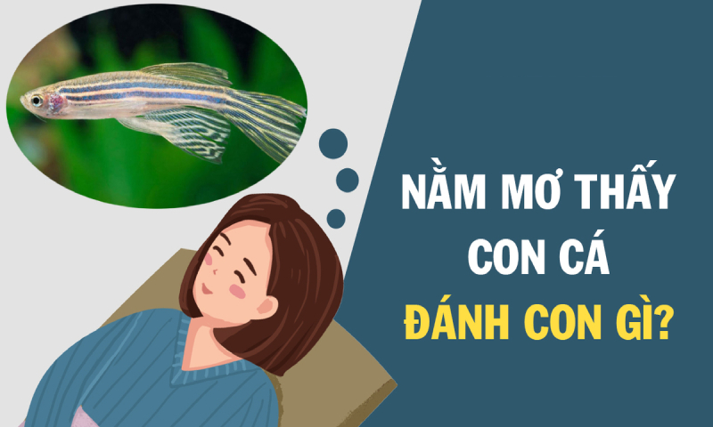 Nằm mơ thấy con cá nên đánh con gì?