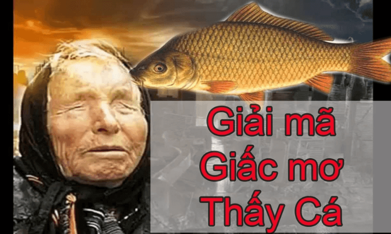 Ý nghĩa giấc mơ thấy cá