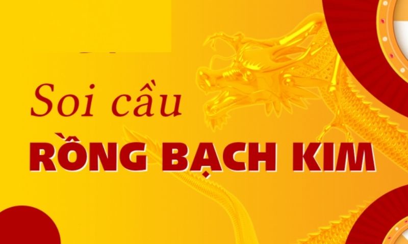 Rồng bạch kim kết quả xổ số Miền Bắc hôm nay miễn phí chính xác