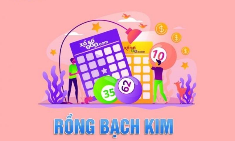 Kinh nghiệm soi cầu lô VIP rồng bạch kim