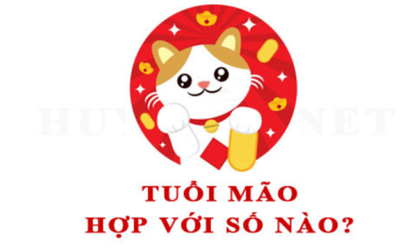 Tuổi mão hôm nay đánh số gì