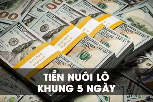 Sơ lược về cách vào tiền nuôi lô cặp 5 ngày